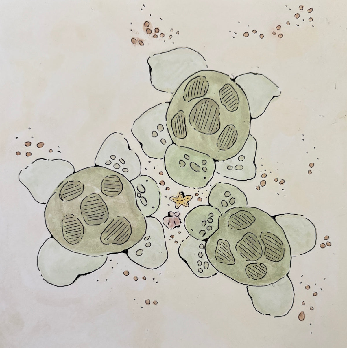 Turtle Meeting Print